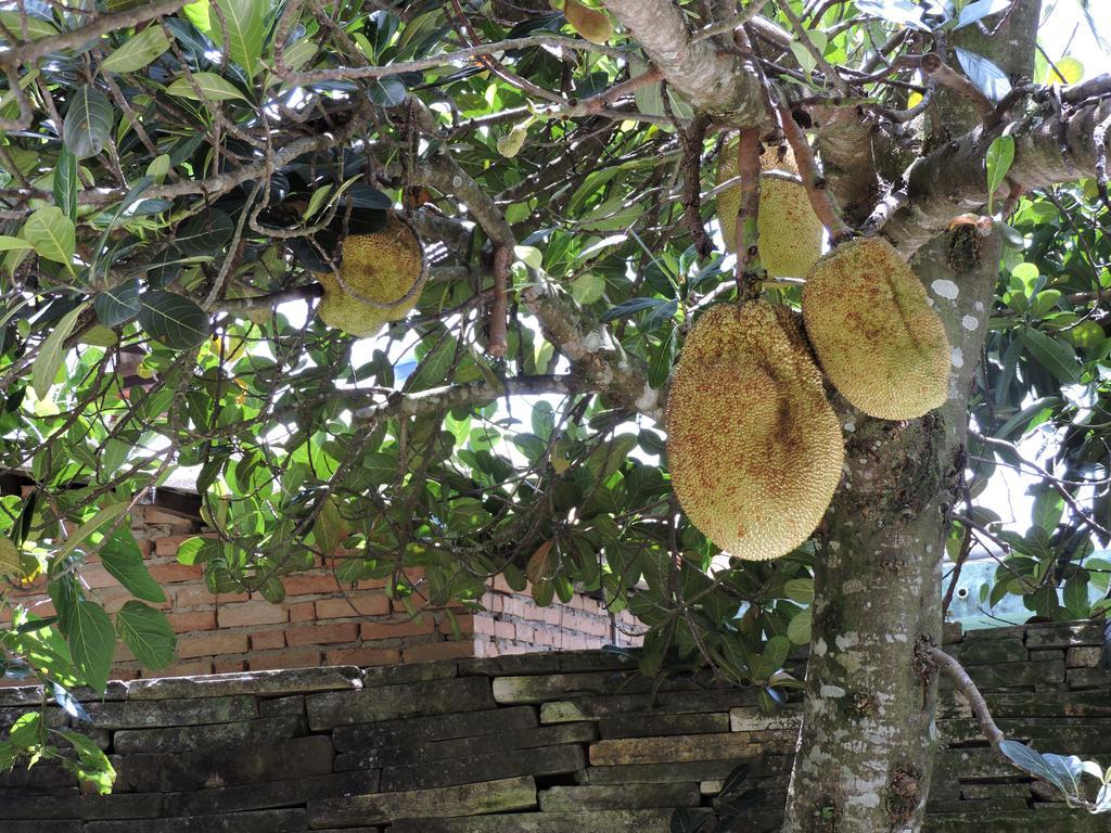 Pousada Casa da Serra São Tomé das Letras Bagian luar foto